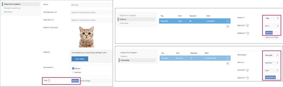 beispiel-media-set-tag.png