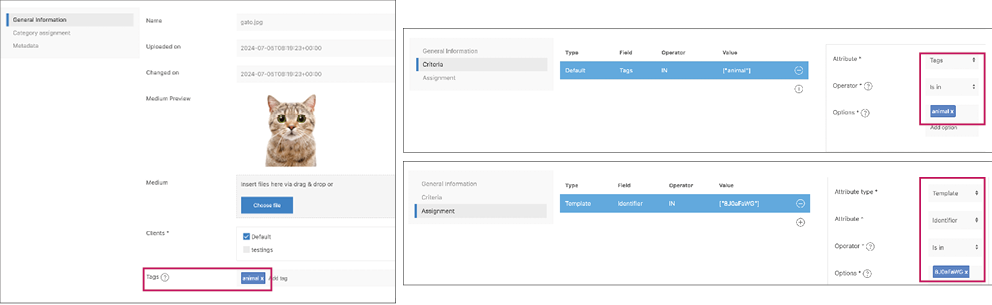 sample-media-set-tag.png